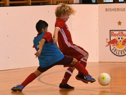 mini-2017-01-29-DSC_4412